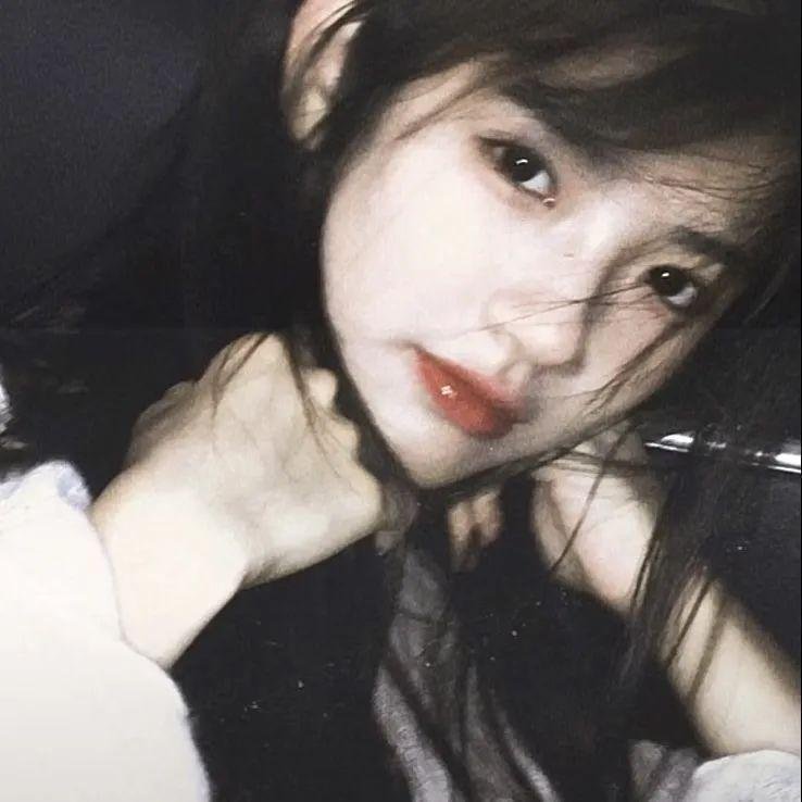 超级救援狗